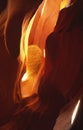 Tumbleweed in a slot canyon