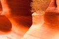 Tumbleweed in Slot Canyon