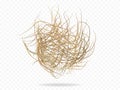 Tumbleweed vector western plant . Royalty Free Stock Photo