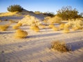 Tumbleweeds of Mojave Desert Royalty Free Stock Photo