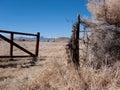 Tumbleweeds tangled up in a barbed wire fence Royalty Free Stock Photo