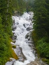 Tumbling cascading white water of waterfall between deep green of forest