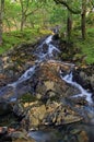 Tumbling Mountain Stream, Hafod-y-llan Royalty Free Stock Photo