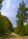 The Tumbling of road beside declivity of mountain Royalty Free Stock Photo