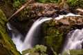 The tumbling waters at Sol Duc Falls, Olympic National Park, Washington, USA, long exposure to create a blurred motion to the Royalty Free Stock Photo