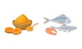 Tumeric Orange Powder in Bowl and Fish as Healthy Balanced Food Vector Set