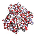 Tumor necrosis factor alpha (TNF) cytokine protein molecule, 3D rendering. Clinically used inhibitors include infliximab,