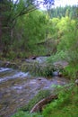 The tumultuous Sema River flows through the forest into the valley. Altai, Siberia, Russia. Landscape