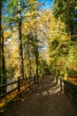 Tumwater Autumn Trail Royalty Free Stock Photo