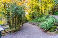 Tumwater Falls Park Path 5 Royalty Free Stock Photo