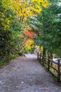 Tumwater Falls Park Path Royalty Free Stock Photo