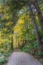 Tumwater Falls Park Path 8 Royalty Free Stock Photo
