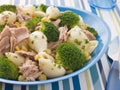 Tuna and Broccoli Pasta Shells Royalty Free Stock Photo