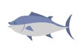 Tuna Cartoon Flat Vector Illustration