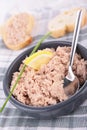 Tuna and cheese spread Royalty Free Stock Photo