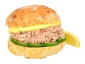 Tuna And Cucumber Sandwich Roll Royalty Free Stock Photo