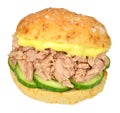 Tuna And Cucumber Sandwich Roll Royalty Free Stock Photo