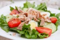 Tuna and egg salad Royalty Free Stock Photo