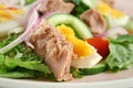 Tuna And Egg Salad Royalty Free Stock Photo