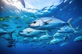 Tuna fish in the deep blue water of the Caribbean Sea, A large school of Trevally swimming in the deep blue tropical ocean, AI Royalty Free Stock Photo