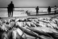 Tuna fish with fishermen at the Indian Ocean