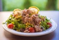 Tuna fish with green salad and tomatos Royalty Free Stock Photo