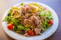 Tuna fish with green salad and tomatos Royalty Free Stock Photo