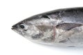 Tuna fish head Royalty Free Stock Photo