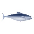 Tuna fish mockup, realistic style Royalty Free Stock Photo