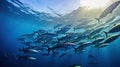 Tuna fish in the ocean. School of tuna fish in the ocean. Tuna. Generative Ai Royalty Free Stock Photo