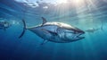 Tuna fish in the ocean. School of tuna fish in the ocean. Tuna. Generative Ai Royalty Free Stock Photo