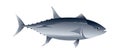 Tuna fish realistic style stock illustration Royalty Free Stock Photo