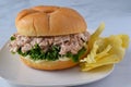 Tuna fish salad on a bulkie rollwith chips