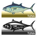 Tuna fish is a species of mackerel. Tunny. Thunnus. Fish for labels, logo, packaging. Fishing for tuna. Atlantic or Pacific tuna.