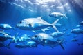 Tuna fish swimming underwater in deep blue ocean. Underwater world, A large school of Trevally swimming in the deep blue tropical Royalty Free Stock Photo