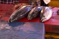 Tuna fishes sold in a rural market