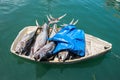 Fresh fish tuna in a small boat