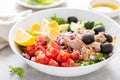 Tuna and fresh vegetable salad of tomato, cucumber, olives, onion, lettuce and boiled egg Royalty Free Stock Photo