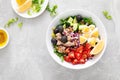 Tuna and fresh vegetable salad of tomato, cucumber, olives, onion, lettuce and boiled egg Royalty Free Stock Photo