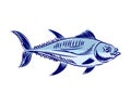 Tuna Hand drawing engraving. tunny Seafood fish. vector illustration Royalty Free Stock Photo