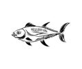 Tuna Hand drawing engraving. tunny Seafood fish. vector illustration Royalty Free Stock Photo