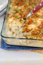 Tuna, Leek, Mornay and Orange Pasta Bake (Macaroni and Cheese) Royalty Free Stock Photo