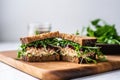 tuna mayo sandwich with mixed microgreen salad at side Royalty Free Stock Photo