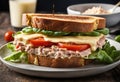 A tuna melt sandwich with cheese, tomato, and mayonnaise Royalty Free Stock Photo