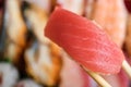 Tuna nigiri on a selection of varied Japanese sushi. Royalty Free Stock Photo