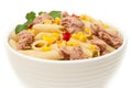 Tuna and pasta salad isolated Royalty Free Stock Photo