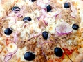 Tuna Pizza with onions and olives Royalty Free Stock Photo