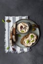 Tuna rillettes with cream cheese and anchovies Royalty Free Stock Photo