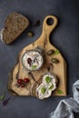 Tuna rillettes with cream cheese and anchovies Royalty Free Stock Photo