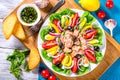 Tuna salad with anchovies, eggs, black olives, tomatoes, oil, basil, garlic, vinegar Royalty Free Stock Photo